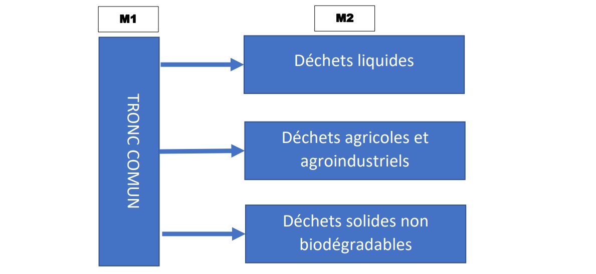 Cycle de master